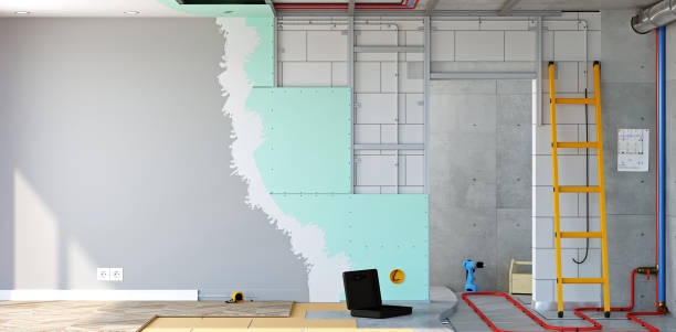 Best Attic Mold Removal  in Capitol Heights, MD